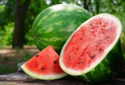 旅游必备吃瓜,旅游必备吃瓜攻略