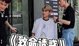 假吃瓜群众视频,视频背后的真实故事