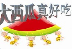 吃瓜炸裂ppt,揭秘幕后故事与精彩瞬间