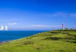 每日大赛海角吃瓜,一场舌尖上的狂欢盛宴