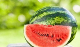 元朗荣华杯吃瓜