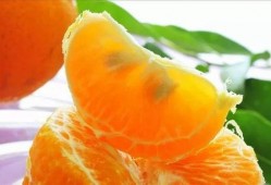 吃瓜系统朝廷吃瓜,揭秘吃瓜系统背后的宫廷秘闻