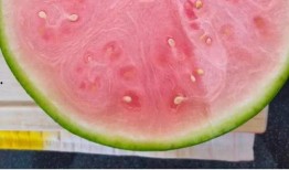 吃瓜酸了,揭秘娱乐圈背后的酸甜苦辣