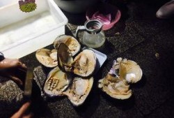 柴娘娘吃瓜,揭秘娱乐圈幕后故事