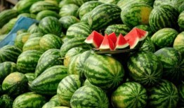 可以吃瓜的网红,揭秘网红们的美食盛宴