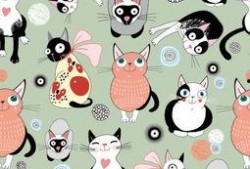 动漫猫咪吃瓜图,猫咪吃瓜大揭秘