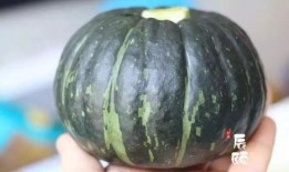 板栗贝贝瓜怎么吃,板栗贝贝瓜的多样食法探索