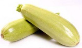 吃白瓜有哪些,白瓜营养功效与食用指南