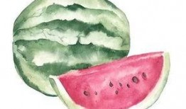 吃pi是什么瓜,揭秘神秘瓜类美食传奇