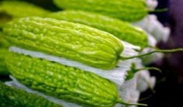 孕妇吃蔬瓜好吗,孕期饮食新选择