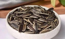 瓜芯解说吃瓜子,解锁吃瓜子的艺术与乐趣