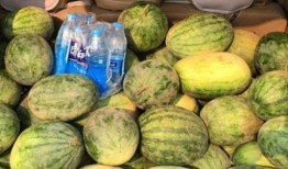 车货吃瓜,揭秘物流行业中的趣味现象与行业洞察