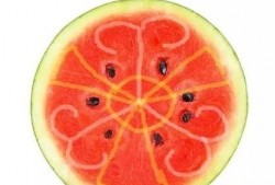 吃瓜级别,从初级吃瓜群众到资深瓜农的蜕变之路