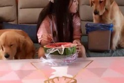 吃瓜女主人,一场关于成长与救赎的奇幻之旅