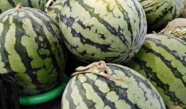 吃瓜酸了,揭秘娱乐圈背后的酸甜苦辣