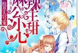 吃瓜小说公主的结局,从吃瓜小说到王者归来