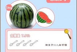 每日吃瓜指南,揭秘娱乐圈新鲜事，轻松掌握热点动态