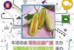羊角瓜怀孕可以吃,营养与安全的双重保障