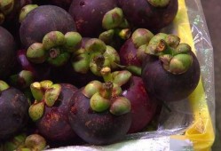 紫薇吃瓜图片,揭秘娱乐圈幕后真相