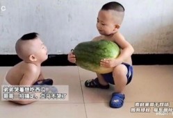 吃瓜吃到亲哥,一场家庭闹剧的揭秘之旅