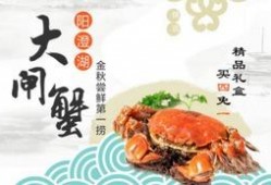 脱离吃瓜小说,揭秘吃瓜小说背后的故事