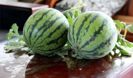 吃瓜长肉吗,吃瓜也能长肉？揭秘日常饮食中的隐形热量陷阱