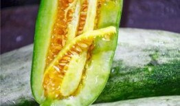 可以吃瓜的网红,揭秘网红们的美食盛宴