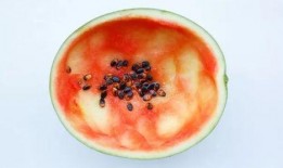 吃瓜的小勺子,网络红人的崛起与影响力