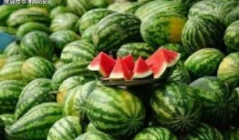 威职吃瓜事件,揭秘校园网络暴力的阴影面