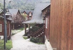 吃瓜群小木屋,一场别开生面的网络社交盛宴