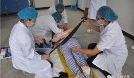 青浦吃瓜群众事件,一场网络舆论的风波与反思