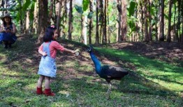 每日大赛海角吃瓜,一场舌尖上的狂欢盛宴