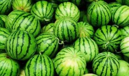 网爆热门吃瓜,揭秘娱乐圈最新热点事件！