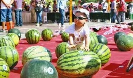 各种吃瓜现场,一场场吃瓜现场的幕后真相