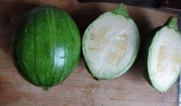 表面凹凸的瓜是什么瓜可以炒着吃