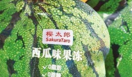 减肥期间吃小瓜,减肥期间的小瓜美食之旅