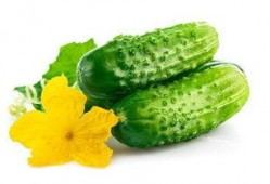 减肥可以吃臊瓜吗,减肥期间的理想美食选择