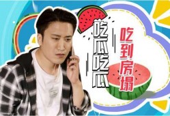 吃瓜直播恋爱,吃瓜直播与恋爱故事