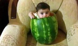 瓜哥带你吃瓜视频重庆,重庆特色小吃大揭秘