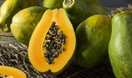 哈尔滨女的吃瓜