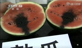 西瓜视频吃紫色瓜,揭秘西瓜视频中的神秘美味