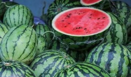 吃瓜们,吃瓜群众眼中的明星生活