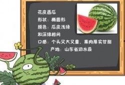 读稿吃瓜,揭秘娱乐圈幕后故事