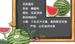 读稿吃瓜,揭秘娱乐圈幕后故事