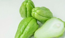 侯府吃瓜日常21,揭秘21世纪宫廷里的吃瓜日常