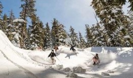 索雪场吃瓜,一场吃瓜盛宴背后的故事