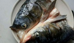 沉浸式吃八瓜鱼生腌,揭秘八瓜鱼生腌的独特风味与制作艺术