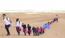 极限挑战沙漠吃瓜,吃瓜背后的团队精神与挑战