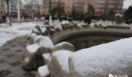 雪上下吃瓜,冬日里的独特风味体验