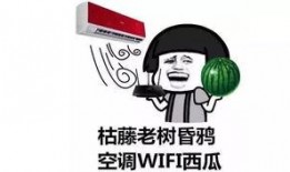 吃瓜打大爆,揭秘幕后故事